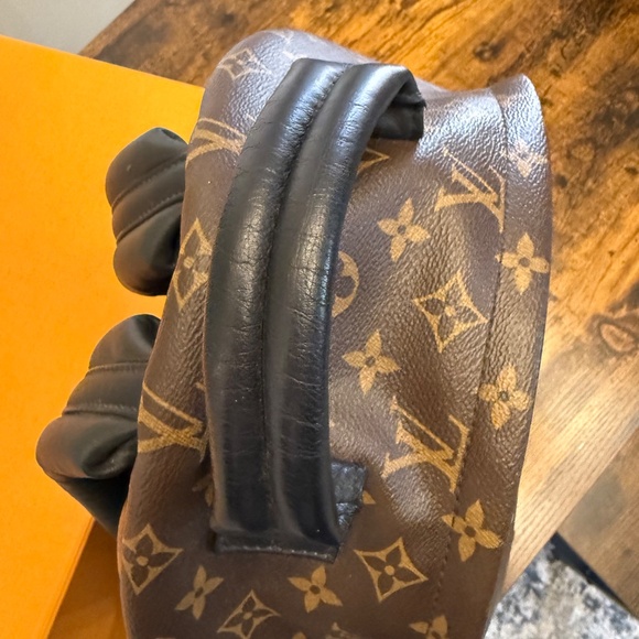 Palm Springs Louis Vuitton backpack mm - Picture 3 of 13